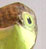 Poussin 11