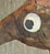 Oiseau 1