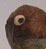 Oiseau 2