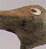 Oiseau 3