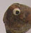 Oiseau 4