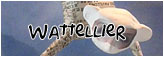 Franois Wattellier